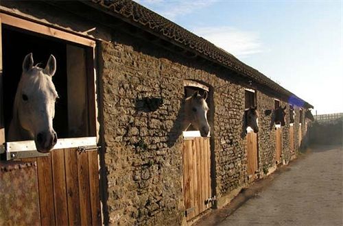 Toomer Farm Villa Sherborne  Exterior photo